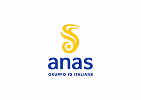 logo anas