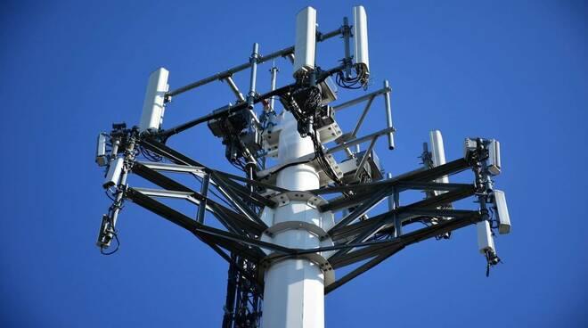 antennne tlc
